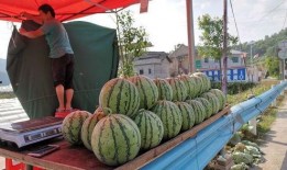 龙州网红吃瓜事件,揭秘网络舆论的风暴与真相