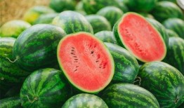 娱乐吃瓜二豆,揭秘二豆背后的故事与真相