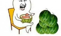 娱乐吃瓜23,揭秘娱乐圈最新热点事件