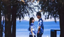 陈飞宇 吃瓜娱乐圈微博,揭秘明星幕后故事