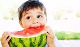 娱乐君吃瓜老绵羊,揭秘老绵羊背后的故事