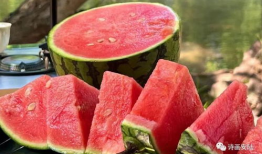 吃瓜网最新官,最新热点事件深度解析