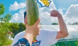 吃瓜事件网红最新,网红吃瓜事件揭秘